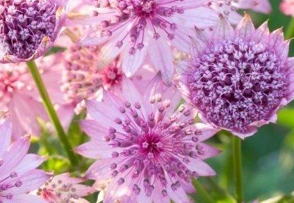 �µ�һ���簲�ľ�������Ȧ ÿ���𴲾����µ�һ��