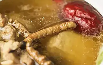 ��������ҩ��ʳ�� ��Ҫ�ʵ��Ľ���