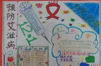 Ԥ�����̲����ֳ���ͼƬ ���ݺ���ʽ��Ҫ��������