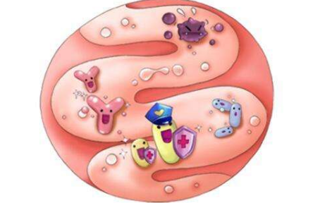 �������������빦������ �����Ĺ�Ч�ô���