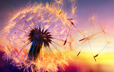 ����΢��Ⱥ���ִ�ȫ�� �����������˵�Ⱥ����