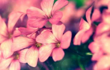 ����΢��Ⱥ���ִ�ȫ�� �����������˵�Ⱥ����