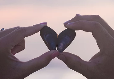 �ѻ����˰�����ı��� �ѻ��������װ���ʲô����Ů��