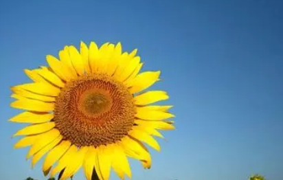 ȥ��ɫ��ӡ����Ч�ķ�������Щ ���ɫ��ӡ����Ч�ķ���