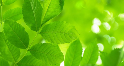 ȥ��ɫ��ӡ����Ч�ķ�������Щ ���ɫ��ӡ����Ч�ķ���