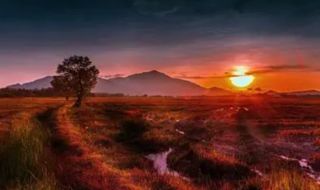 ȥ��ɫ��ӡ����Ч�ķ�������Щ ���ɫ��ӡ����Ч�ķ���