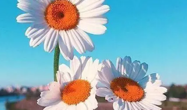 ȡ����̬����־������ ��̬�ø�ִ��΢������