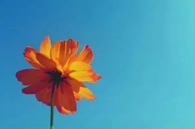 ȡ����̬����־������ ��̬�ø�ִ��΢������