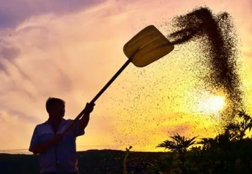 �Ͷ���������ʷ ��һ�Ͷ��ڵ�����ʫ��ʫ��