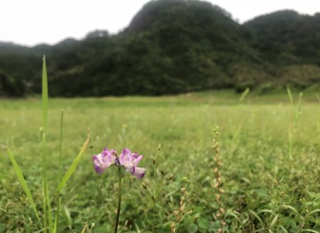 �������������ף���� ����������˫��ף����