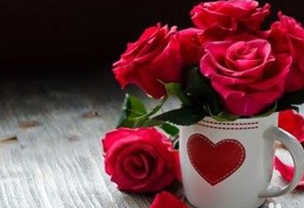 ���˽�������Ů��ʲô���� �ʺ����˽��͸�Ů���ѵ�����