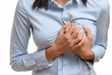 �鷿�������� ���Ժ�����������