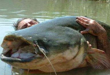 �����������͵ĵ�ˮ�� ����ѷ��������ʮ�����͵�ˮ��֮��