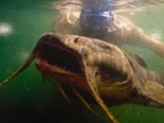 �����������͵ĵ�ˮ�� ����ѷ��������ʮ�����͵�ˮ��֮��