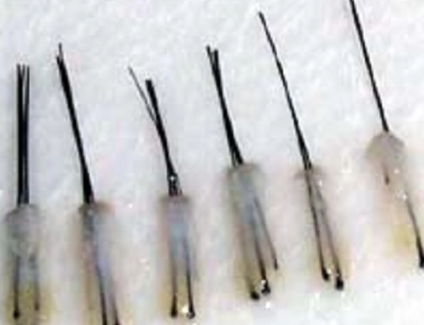 �ƻ�ë�ҵķ�������Щ �����ƻ�ë����������