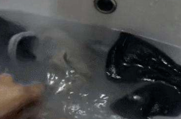 �����ȷϴ���� �����˷����ܼ�