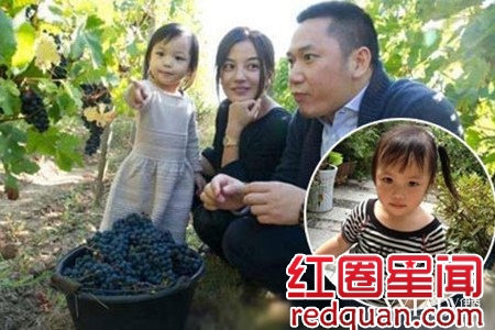 赵薇炒股亏损3亿是真是假 赵薇现在有多少资产