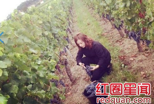 赵薇炒股亏损3亿是真是假 赵薇现在有多少资产