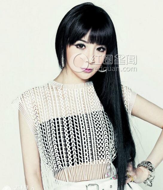 2ne1�������˳�ԭ�� 2ne1Ϊʲô��ɢ