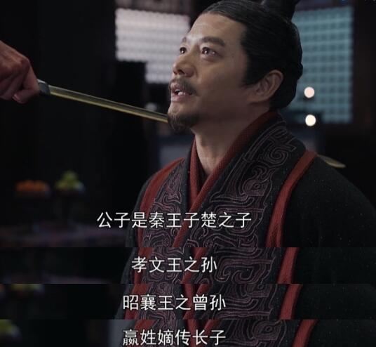 大秦赋嬴政是吕不韦的儿子吗 剧中嬴政身世真相到底是啥