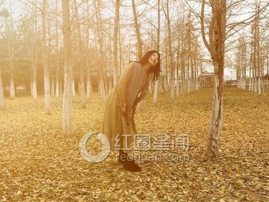 ���꺽�����ʲô�� ���꺽���������ع�