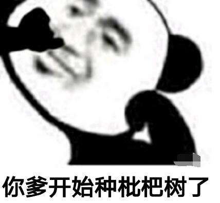 你爸今晚必在亭中种枇杷树啥意思这个梗怎么来的介绍 就是nmsl的意思