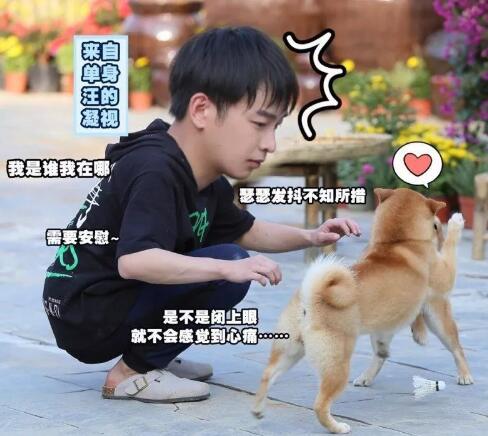 ���ִ�Ӫ���ų���ɱʽ������̫��Ц �����к��ҷ�����