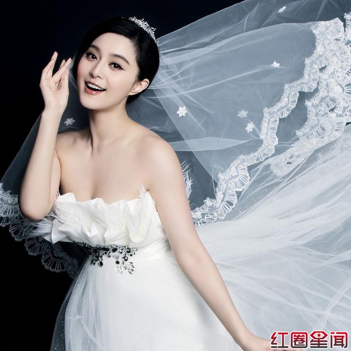 范冰冰现在的年收入是多少钱 范冰冰是国内最有钱的女星吗