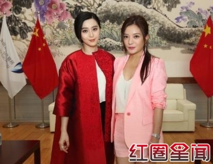 范冰冰现在的年收入是多少钱 范冰冰是国内最有钱的女星吗