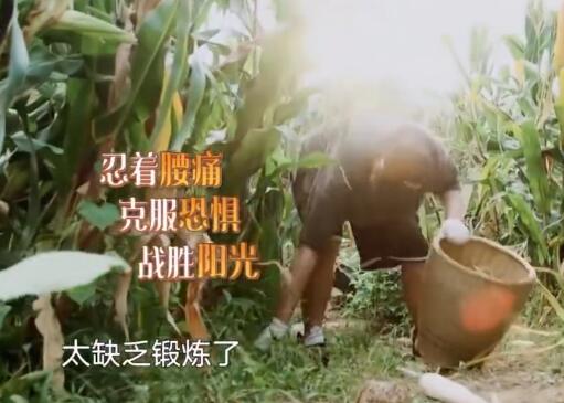 向往的生活陈赫点的什么菜 十全大补汤是什么鬼
