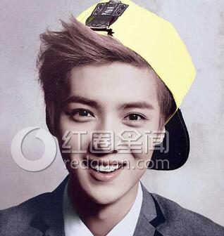 ¹����κǧ�ŷ���ԭ�� ¹�Ϸܶ����̴����