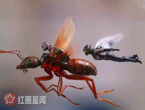 ����2�Ʒ�Ů�������� �Ʒ�Ů������ʲô����