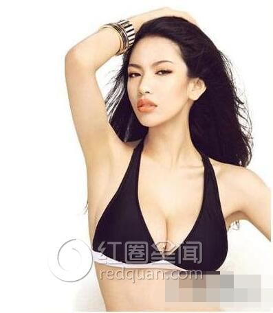 女星胸围排行榜图片 胸大的女明星排行榜