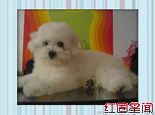 ��������̸��������8������������ ����������������