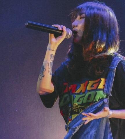 ����������ʲô ������ʲôʱ��ʼ������