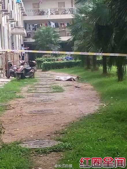 武大学生跳楼事件真实内幕 跳楼自杀原因是挂科吗