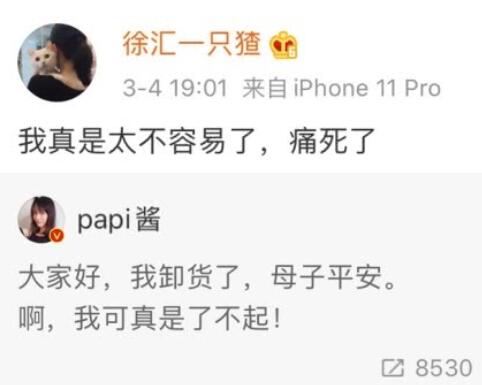 papi酱生子成功卸货 papi酱什么时候怀孕的