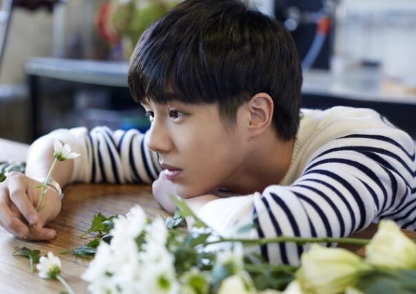 ���Ȼ��ƽ��ɽ�����