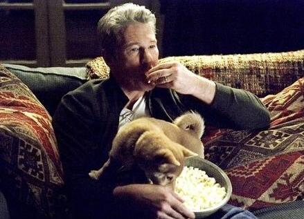 ��Ȯ�˹�9������ô����