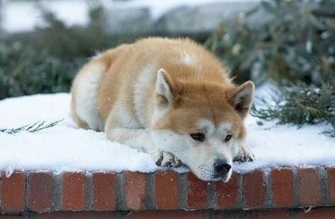 ��Ȯ�˹�9������ô����