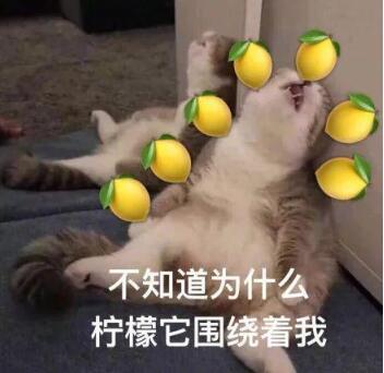 ���ʾ���ʲô��˼