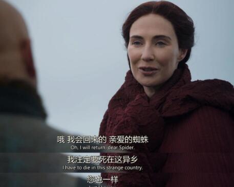 ÷��ɺ׿Ϊʲô����