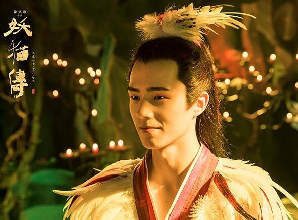 ��è������Ϊʲôȳ��