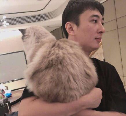 ��˼������Ѽ��ʲôƷ��