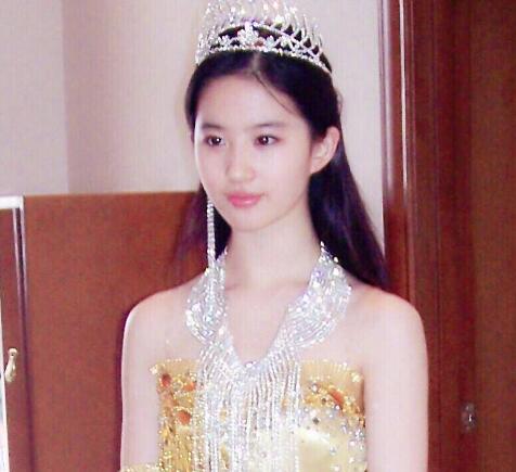 金鹰女神在哪投票