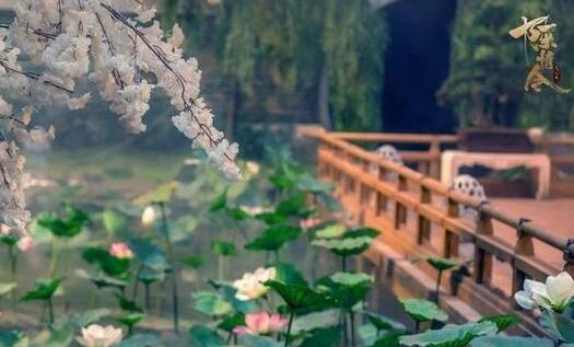 �����������������