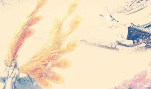 ������С˵������