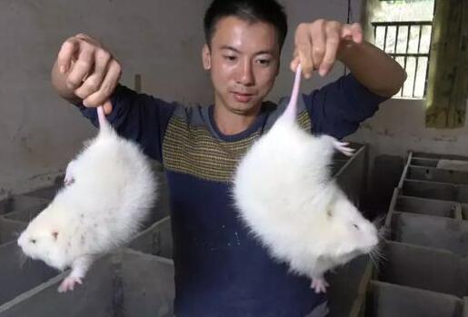 ��ũ�ֵ��������