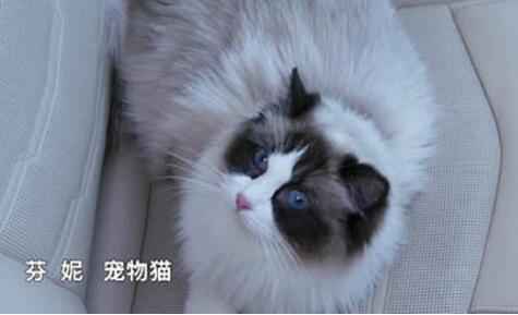 ��������Ů����