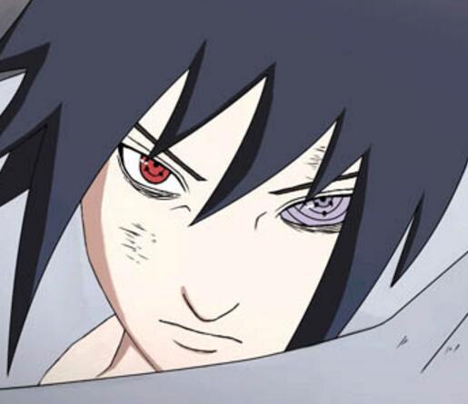 �������ֻ���������